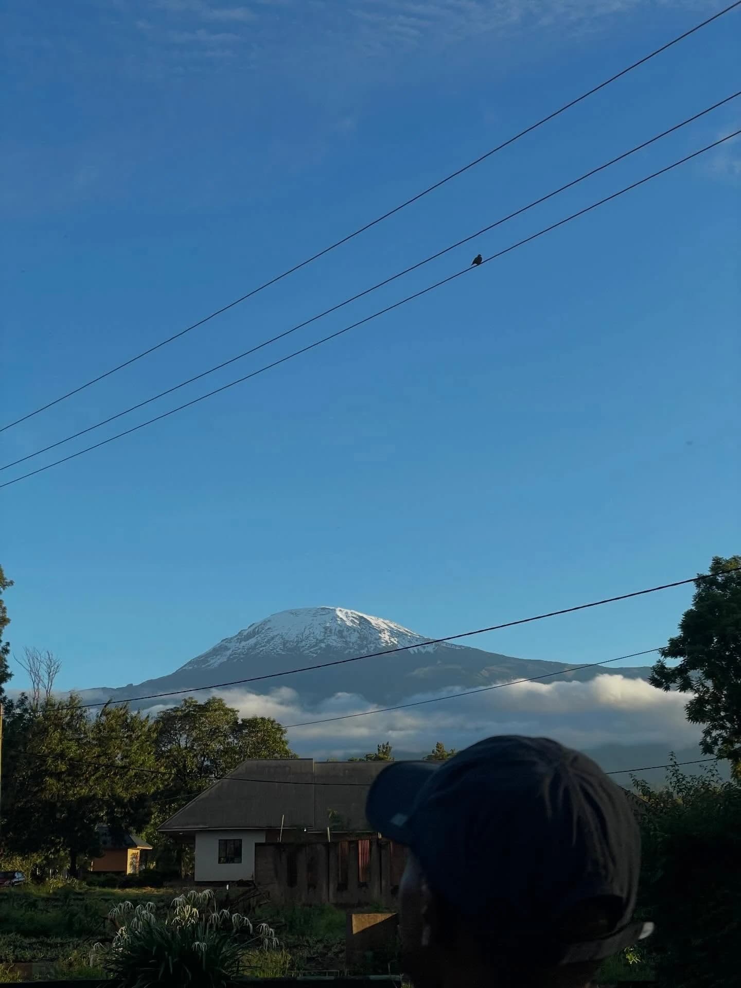 A snow-capped mountain under blue skies, with a person in the foreground