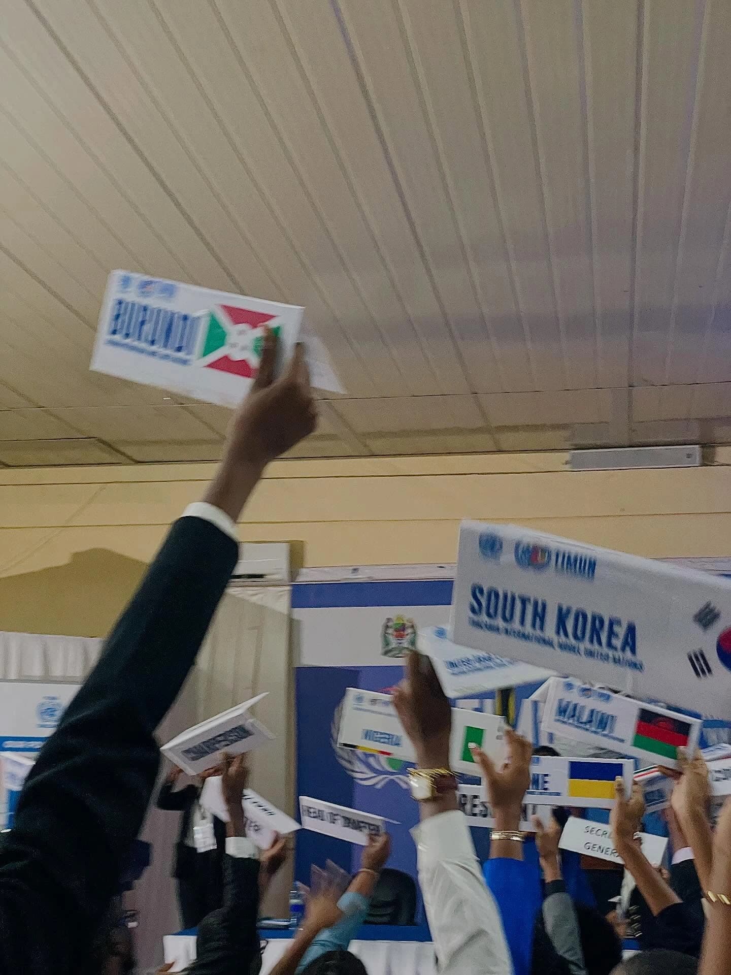 Delegates raising country placards at TIMUN